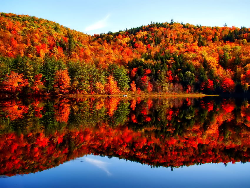 Otoño junto al lago, otoño, rojo, otoño, lago fondo de pantalla