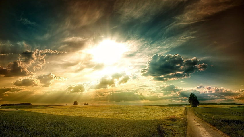 fields, dawn, clouds, road, nature, sunrise HD wallpaper