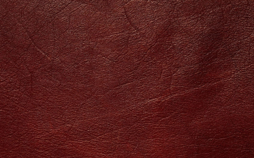 Tekstura skóry. Skórzana tekstura, tekstura, teksturowana, skórzana książka Tapeta HD