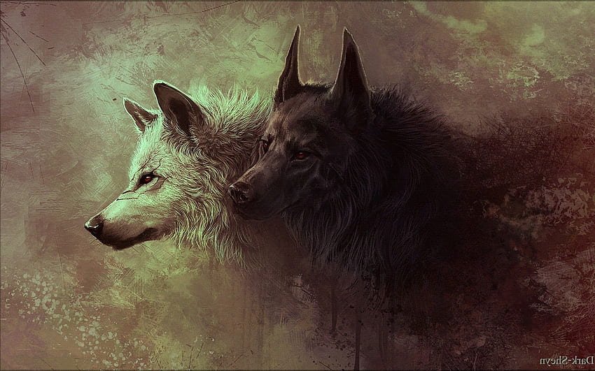 Pintura de lobos cinzentos e pretos, lobo triste papel de parede HD