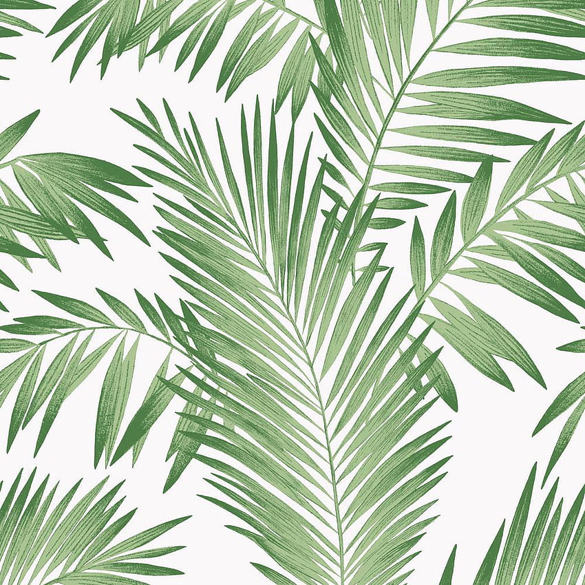 Aesthetic Tropical Leaves, Aesthetic Palm Leaves HD phone wallpaper