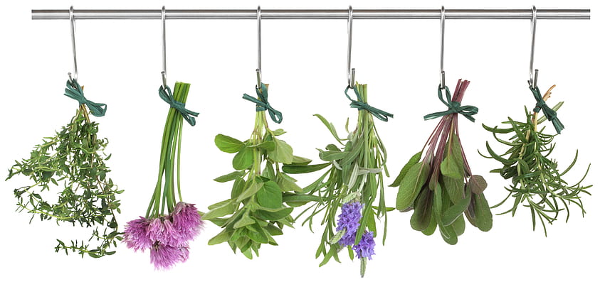 Herbs . Medicinal Herbs HD wallpaper