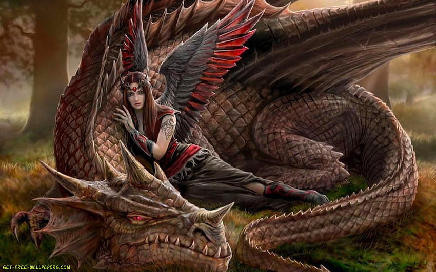 Dragon, Sleeping Dragon HD wallpaper
