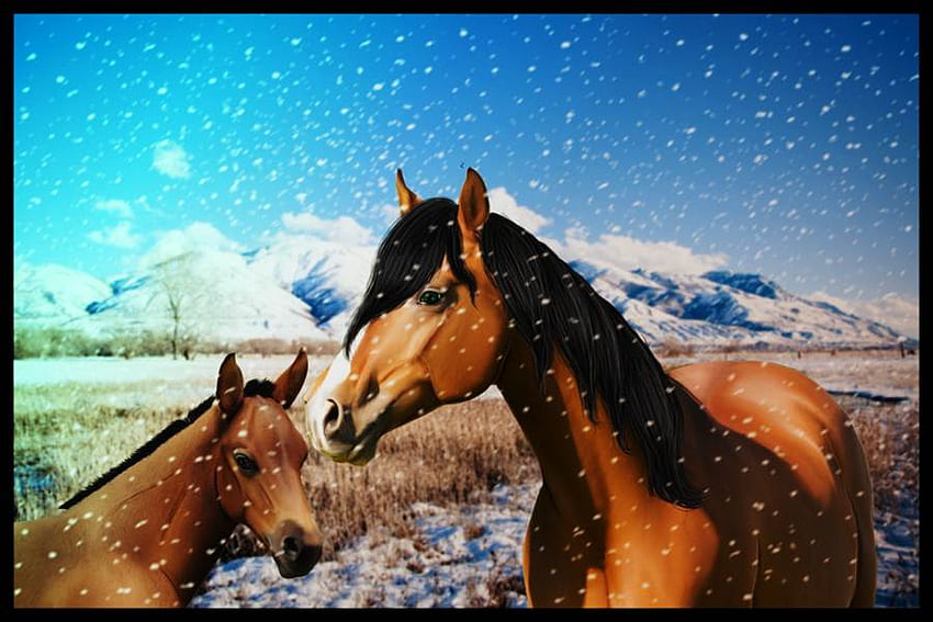 Stute und Fohlen, Pferde, Stute, Tiere, Schnee, Fohlen HD-Hintergrundbild