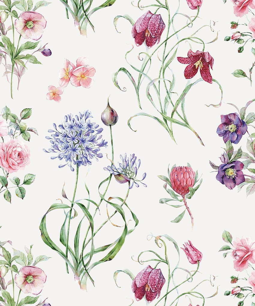 식물, 수채화 포랄 모티프 • Milton & King, 수채화 꽃무늬 여름 HD 전화 배경 화면