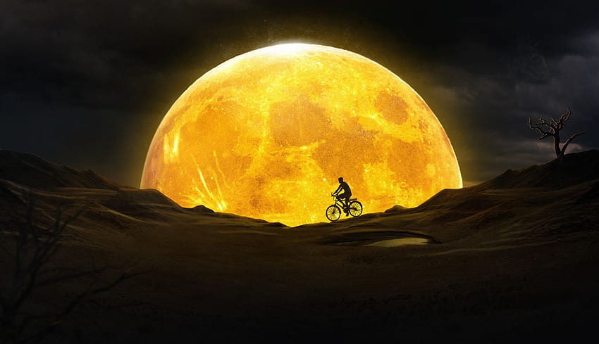Cycling Near Yellow Moon Laptop , Artist , , and Background, 1336X768 Yellow HD wallpaper