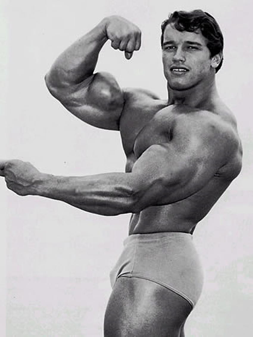 Arnold Schwarzenegger High Quality, Arnold Schwarzenegger Bodybuilding HD phone wallpaper