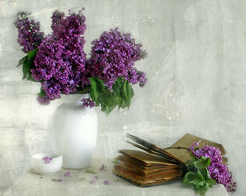 Darks And Light, still life, book, white vase, lilacs, vase, flowers, white curtains HD wallpaper