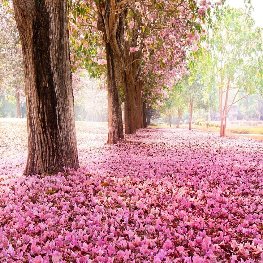 Laeacco 핑크 타락한 꽃 나무 낭만적 인 풍경 그래피 배경 비닐 맞춤형 카메라 배경막 스튜디오. 배경. 그래픽 배경을 위한 배경 HD 전화 배경 화면