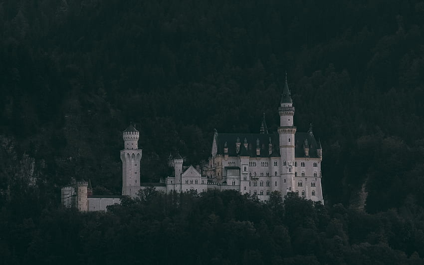 kastil, pohon, kastil neuschwanstein, hutan, gunung, schwangau, jerman, Istana Hutan Wallpaper HD