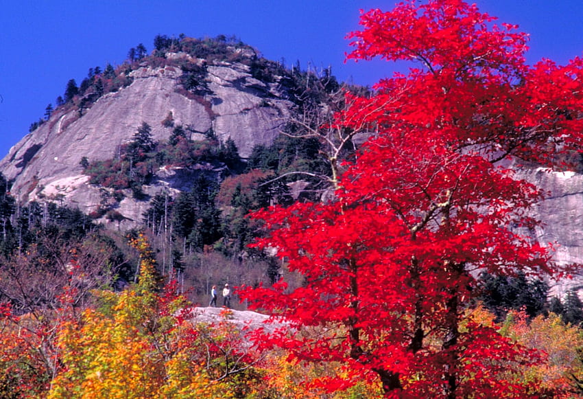 Pemandangan dari jendela loteng, pohon, gunung, daun musim gugur emas merah Wallpaper HD