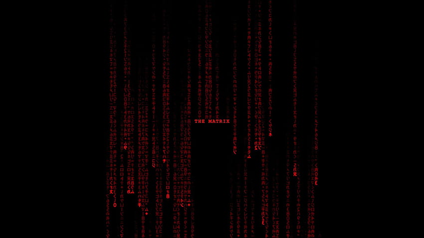 Red Matrix Phone, Red Code HD wallpaper