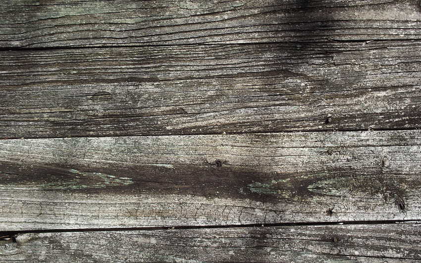 grauer Holzhintergrund, Makro, horizontale Holzstruktur, Holzbohlen, Holzhintergründe, Holzbohlen, graue Hintergründe, Holztexturen HD-Hintergrundbild