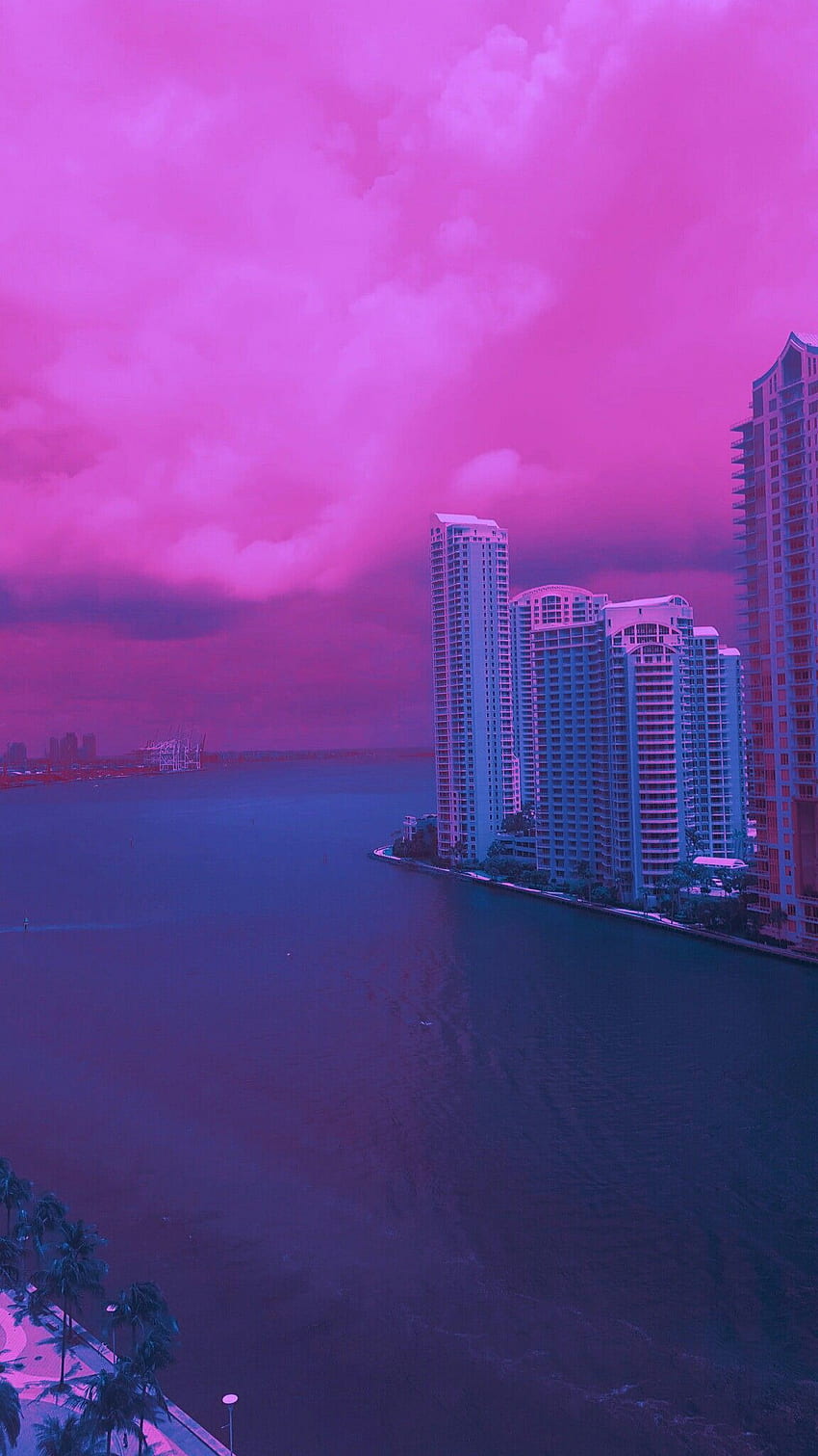 美学のスコーチタイタン。 都市の美学、日の出、都市の風景、マイアミ ピンク HD電話の壁紙