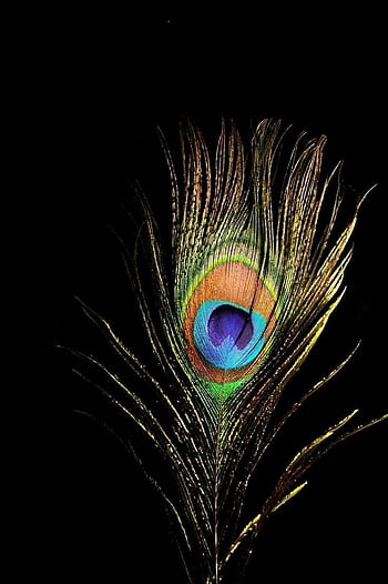 Peacock feather art HD wallpapers | Pxfuel