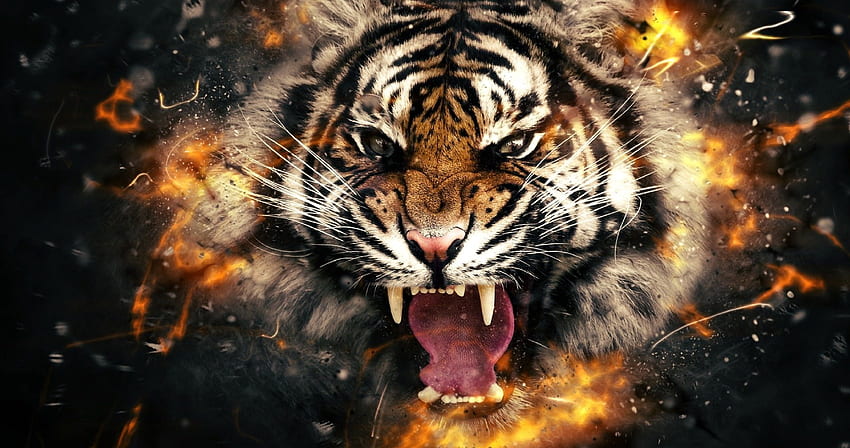 Tygrys, Agresywny Tygrys Tapeta HD