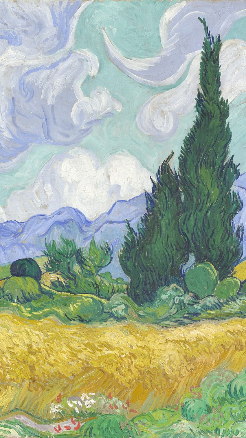 Jasmine R na art. , Van Gogh i Vans, Tumbler Van Gogh iPhone Tapeta na telefon HD