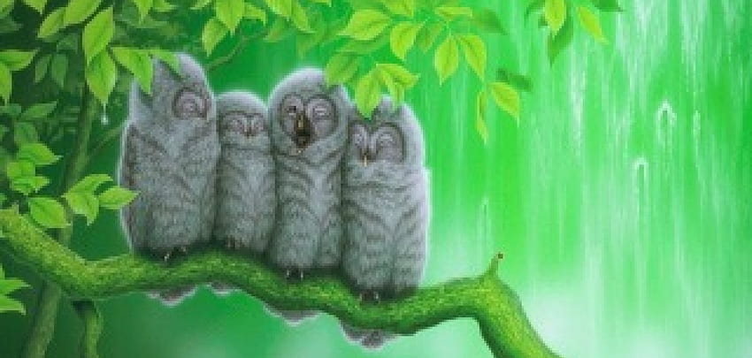 Owl Family in Peace, birds, cute, paintings, owls, love four seasons, family, animals, branches, lovely, rainy season HD wallpaper
