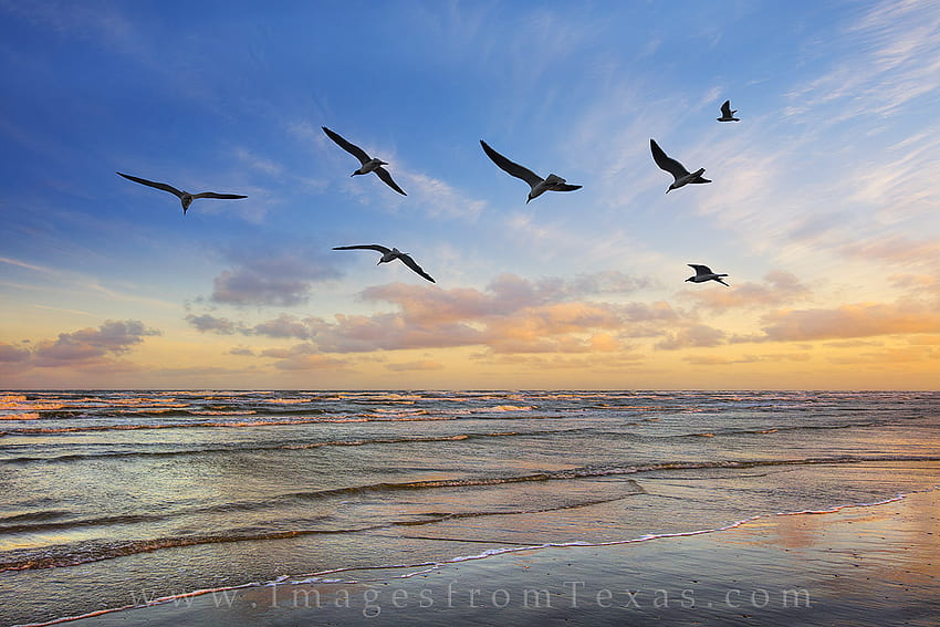 Texas Coast and Prints - Port Aransas and Rockport. from Texas HD wallpaper