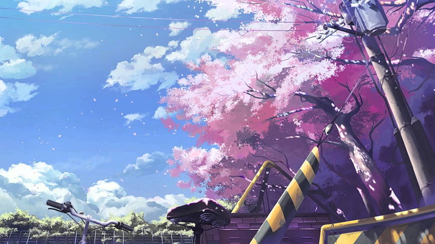 Миниатюри на Youtube Npm, аниме пейзажи Cherry Blossoms HD тапет