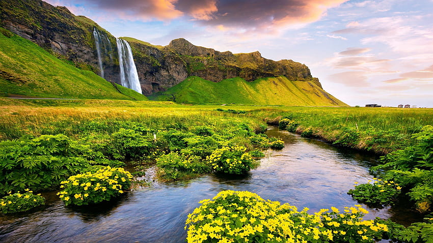 Seljalandsfoss Waterfall, wildflowers, Iceland, waterfall, grass, beautiful, spring, rocks, mountain HD wallpaper
