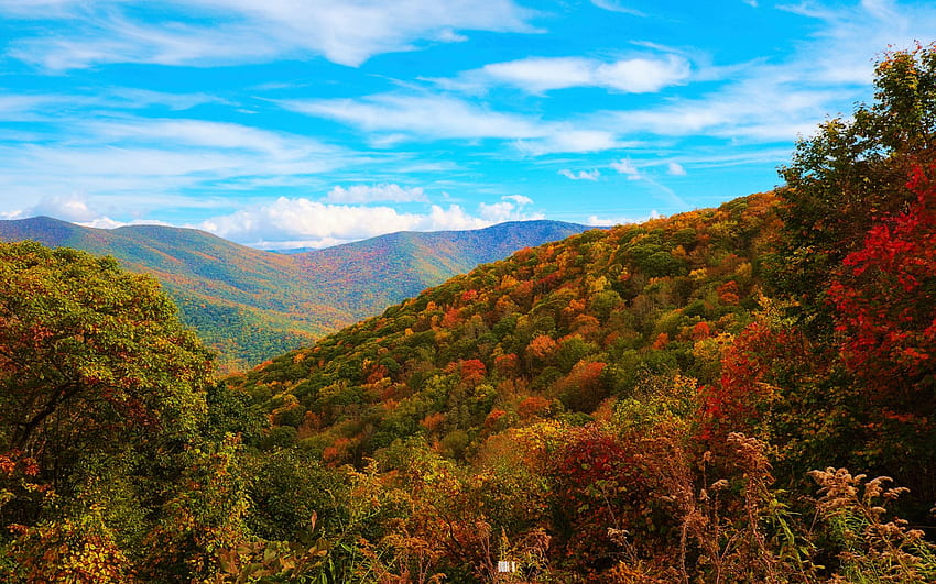 Blue Ridge Mountains, North Carolina, hills, fall, clouds, landscape, trees, colors, sky, usa HD wallpaper