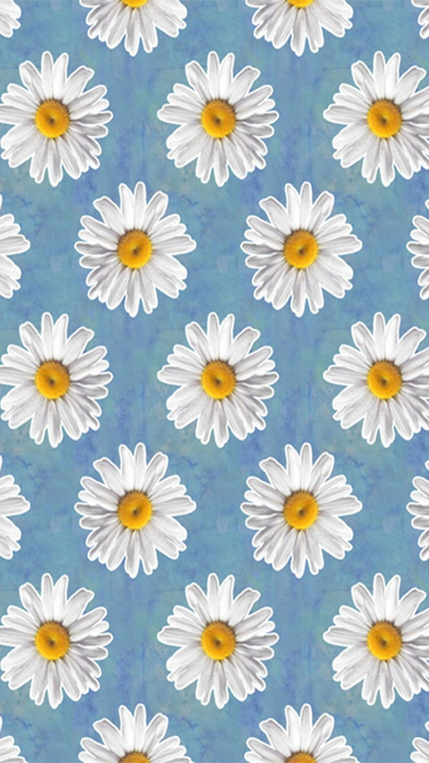 Daisy Aesthetic, Blue Daisy HD phone wallpaper