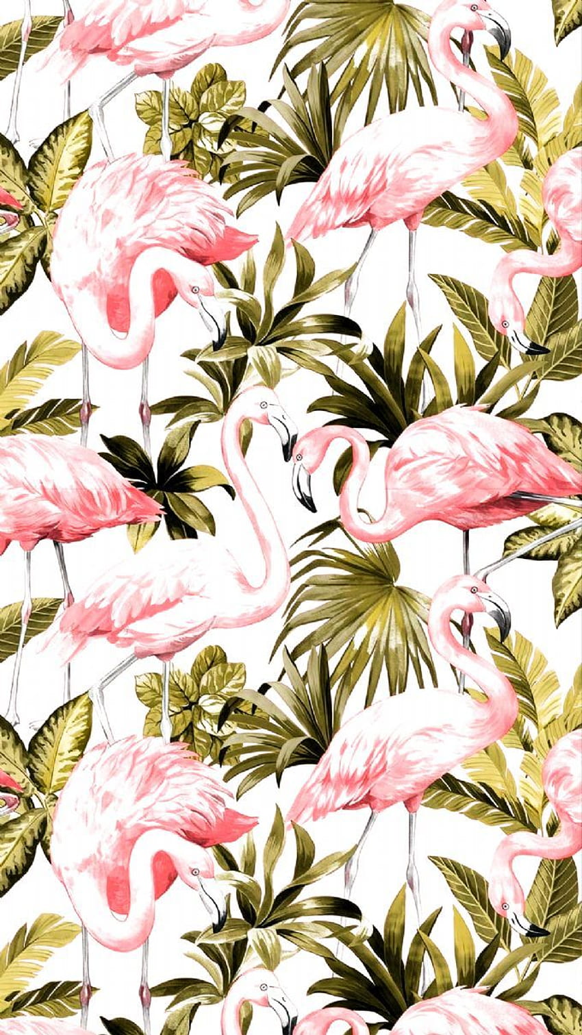 I Love Flamingo Rumieniec Różowy, Różowy Ptak Tapeta na telefon HD