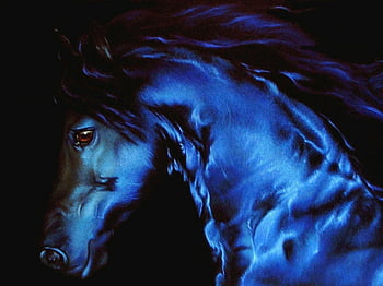 Blue horse HD wallpapers | Pxfuel