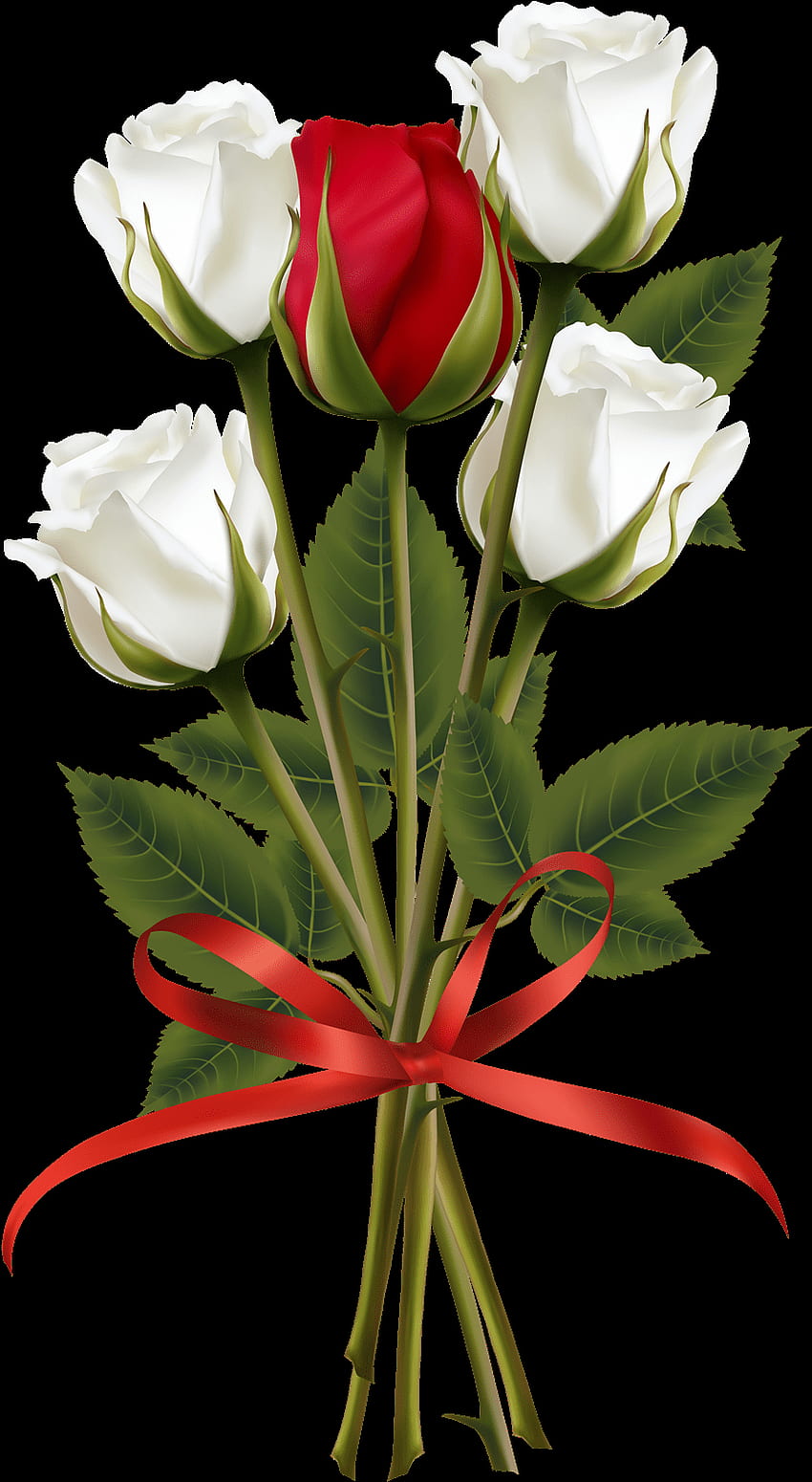 Рамка за цветя, изкуство с цветя, бели рози, червени рози, червено - Клипарт с червена и бяла роза Прозрачен PNG HD тапет за телефон