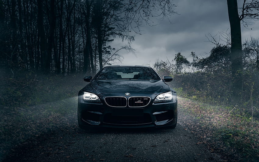 Autos, Wald, Nebel, Frontstoßstange, Bmw M6 HD-Hintergrundbild