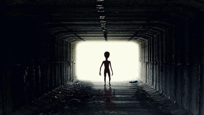 L'esperto di rapimenti UFO mette in guardia contro il contatto con gli alieni Sfondo HD