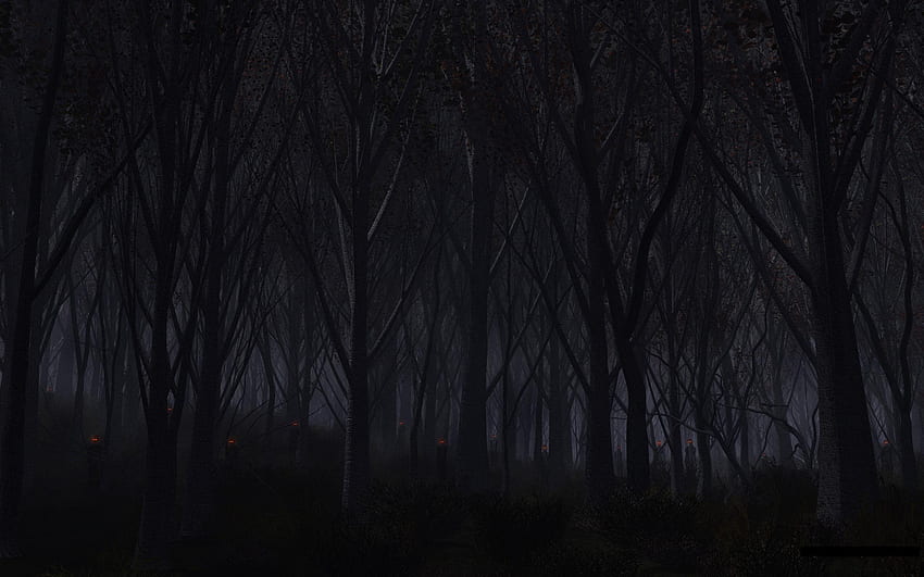 de bosque espeluznante, ambiente oscuro fondo de pantalla