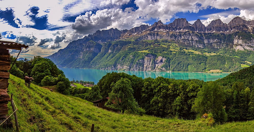 езеро Walensee, Алпи, алпийски, спокойствие, Швейцария, отражение, зеленина, пътуване, хълмове, пейзаж, красив, трева, езеро, планина, лято, изглед, облаци, небе, прекрасен HD тапет