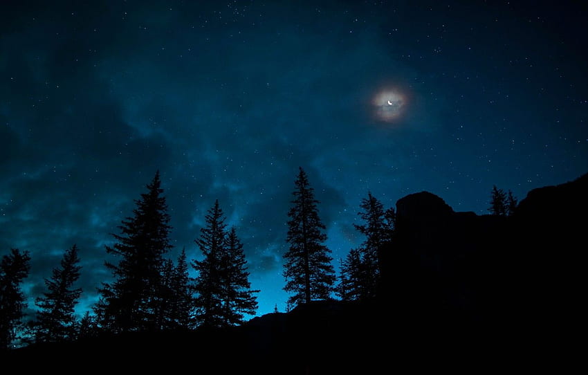 Le ciel, Nuit, Étoiles, La lune, Forêt, Canada, Épicéa, Un mois, Banff National Park for , section пейзажи Fond d'écran HD