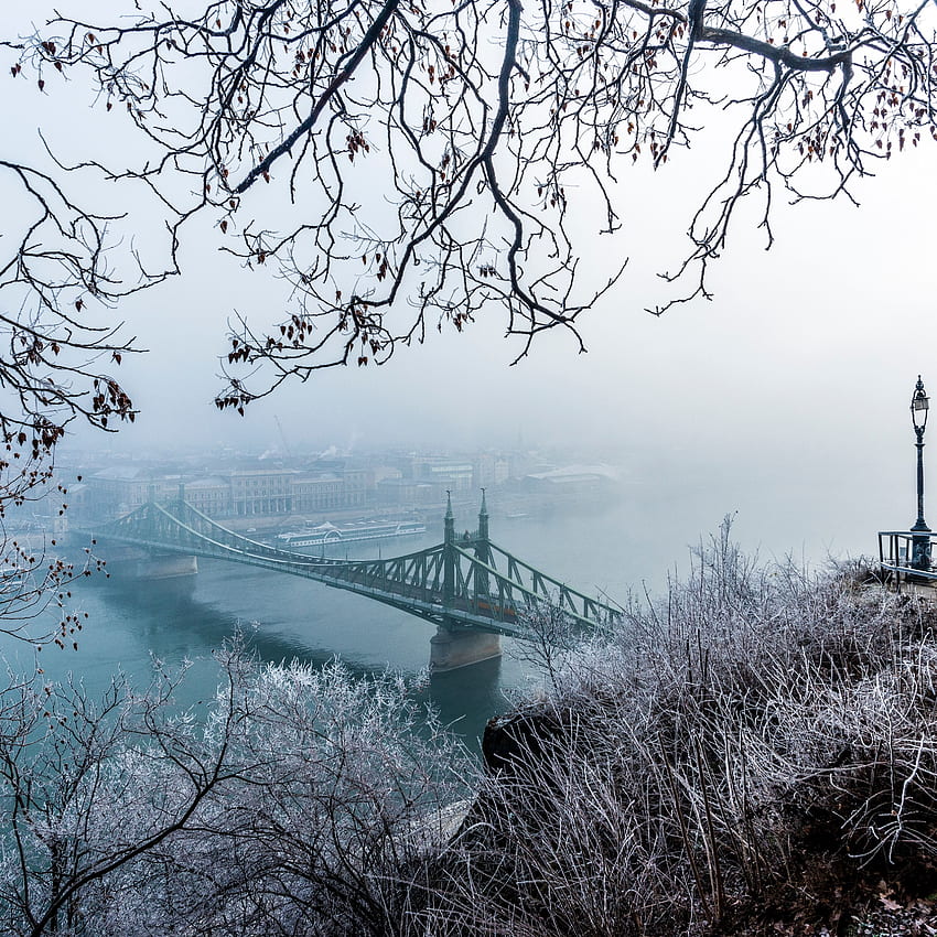 puente, niebla, vista aérea, ramas, Budapest Winter fondo de pantalla del teléfono