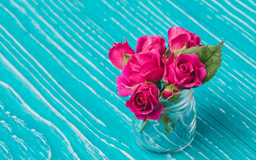 Roses, blue, rose, pink, glass jar, flower HD wallpaper | Pxfuel