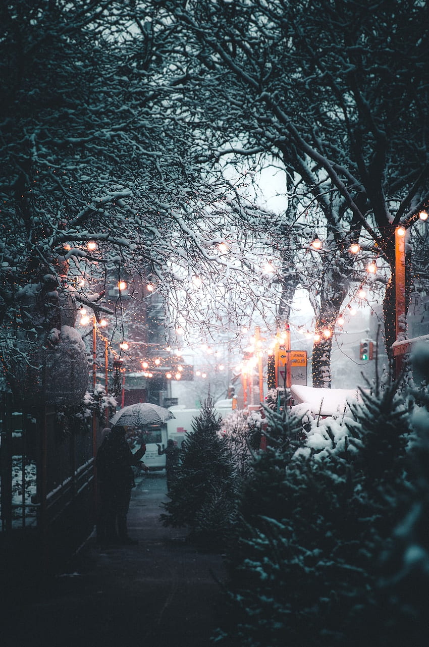 човек, който държи чадър близо до улично осветление и дървета през деня – зима, градски светлини зима HD тапет за телефон
