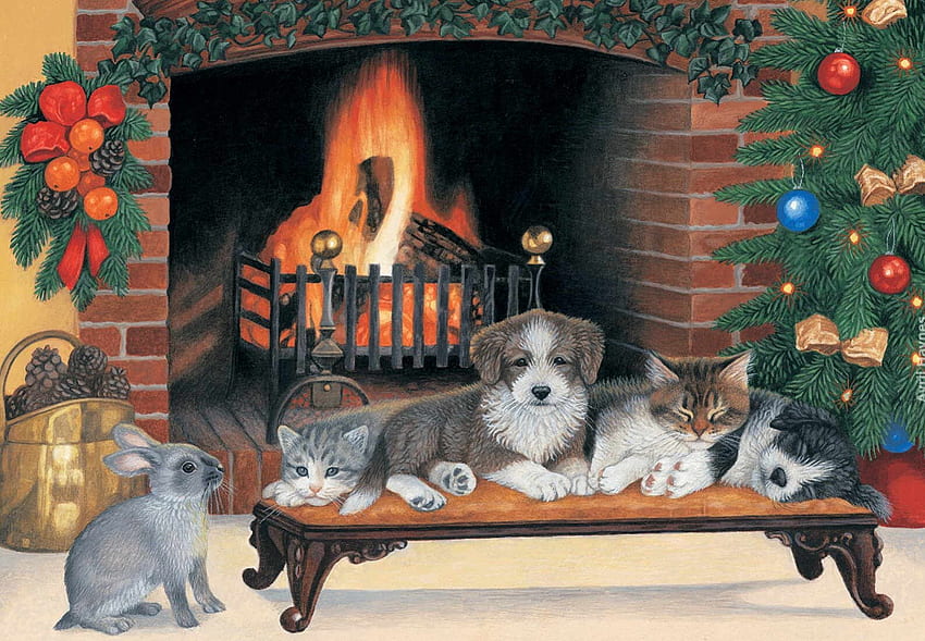 Christmas pets, animal, dog, kitten, christmas, cute, cat, new year HD wallpaper