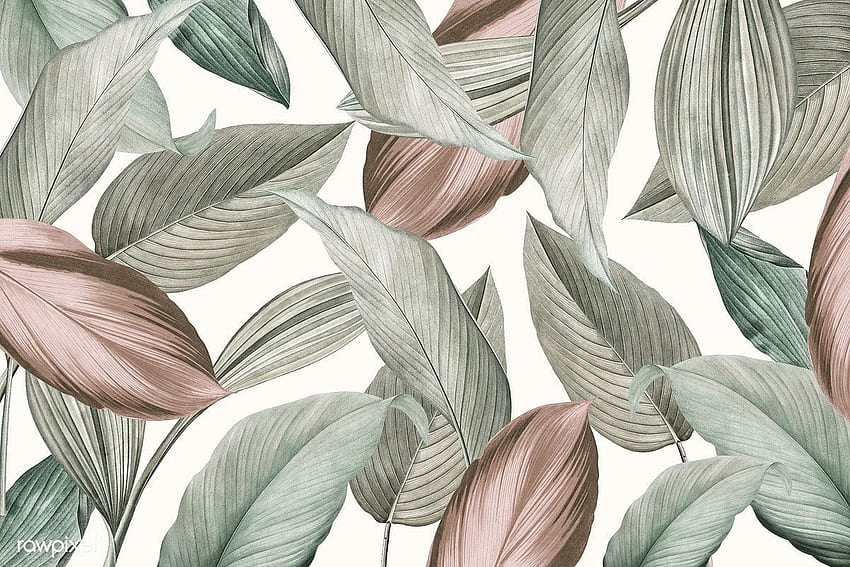 Fond à motifs de feuilles tropicales vertes. prime /. Mignon, Ordinateur, art, Minimal Tropical Fond d'écran HD
