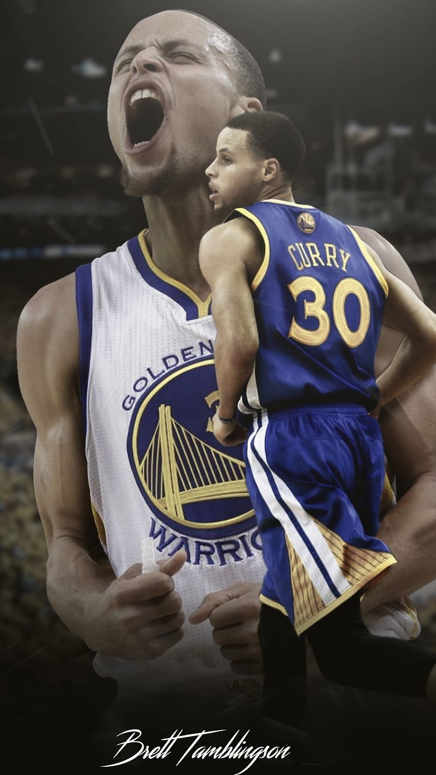 Steph Curry, Stephen Curry, Professional, Basketball Player HD phone wallpaper