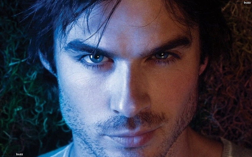 Ian Somerhalder Hd Wallpaper Pxfuel 6289