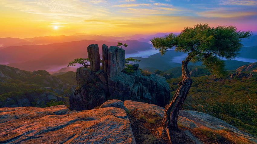Einige Kiefern auf den Felsen in Südkorea, Daedunsan, Hügel, Farben, Wolken, Landschaft, Bäume, Himmel, Felsen, Sonne HD-Hintergrundbild