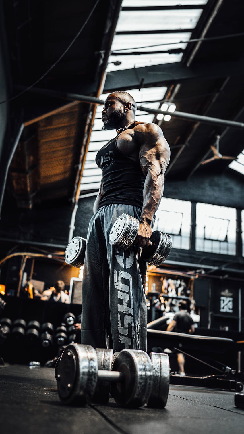 Gym Photos, Download The BEST Free Gym Stock Photos & HD Images