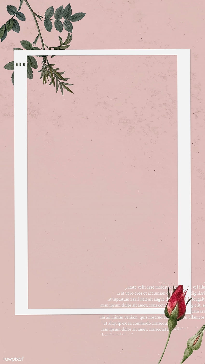 Premium-Vektor der leeren Collage-Rahmenvorlage auf Rosa. Rosa Hintergrund, Blumenhintergrund, Rahmenschablone HD-Handy-Hintergrundbild