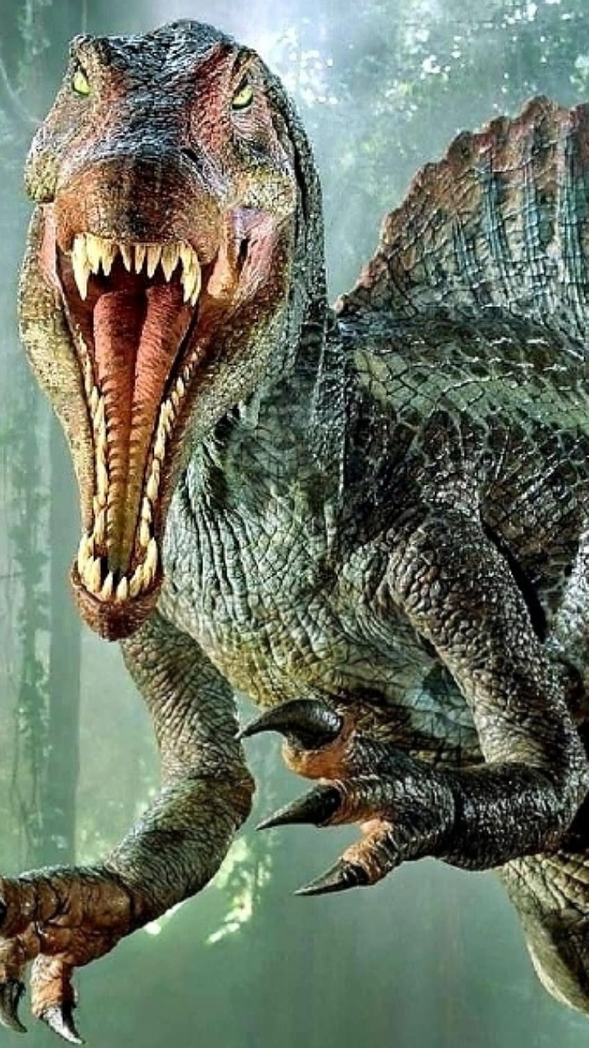 Jurassic park 3, spine, jurassic_park HD phone wallpaper