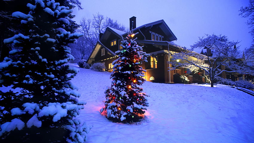 Snow Scenes Christmas Winter Scenes Hd Wallpaper Pxfuel