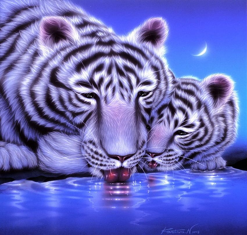 White Tiger water fantasy tiger white HD wallpaper  Peakpx