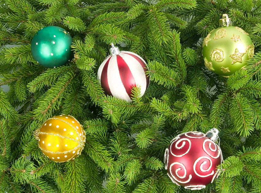 Bright & Cute Decoration, winter, colorful, graphy, winter holidays, cute, holiday, abstract, happy, christmas tree, merry christmas, ornaments, balls, beautiful, creative pre-made, mind teasers, celebration, love four seasons, decoration, pretty, christmas, green, xmas and new year, lovely HD wallpaper