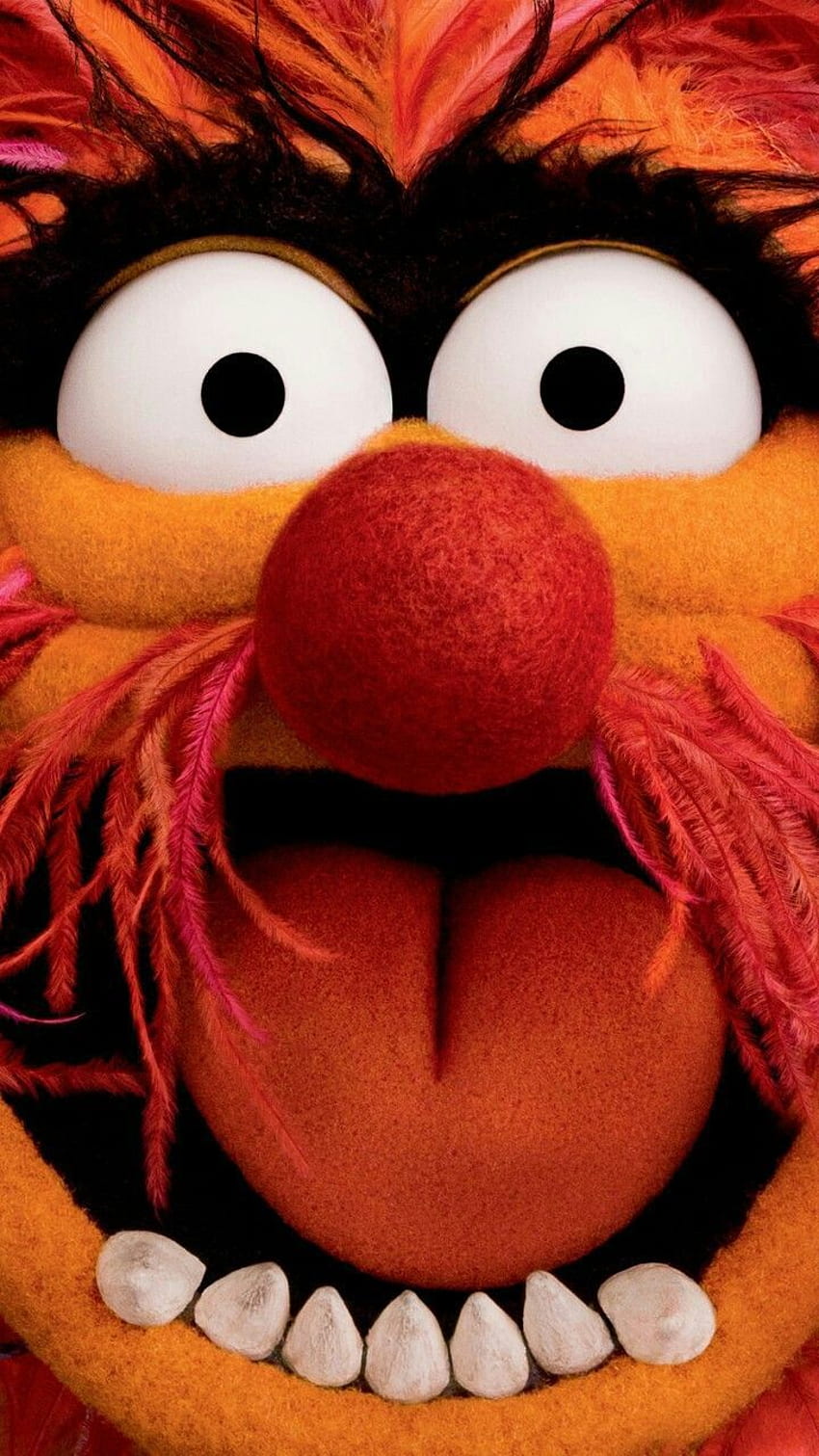Funny muppets HD wallpapers | Pxfuel